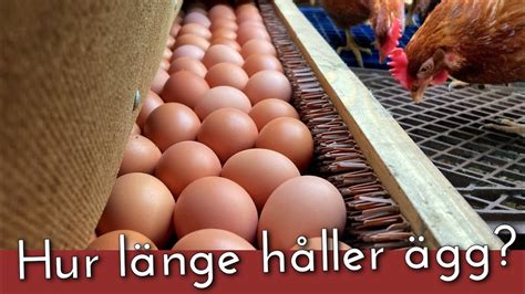 ägg i kylskåp hållbarhet